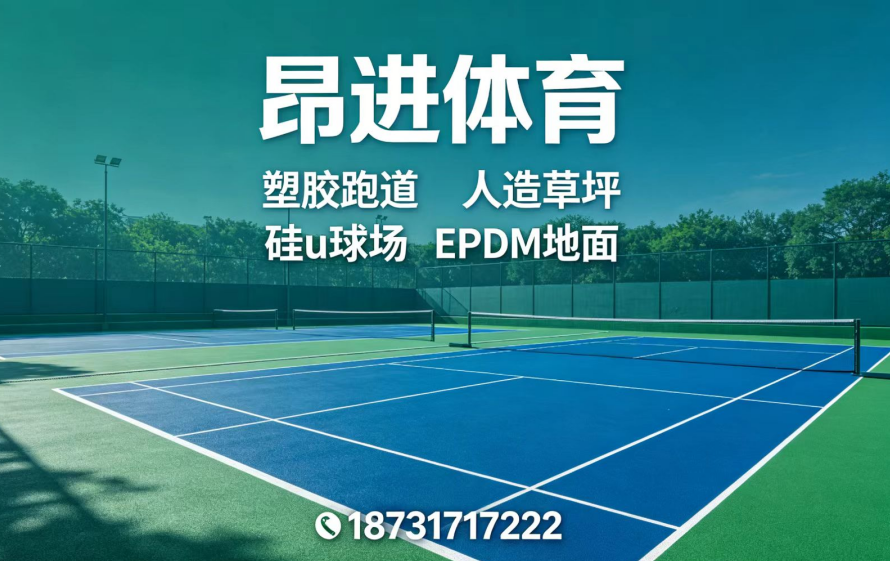 昂进体育设施有限公司
